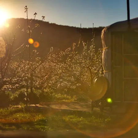 Authentic Mongolian Yurt For Spiritual Getaways In Spain El Torno (Extremadura)