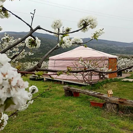Casa vacanze Authentic Mongolian Yurt For Spiritual Getaways In Spain *