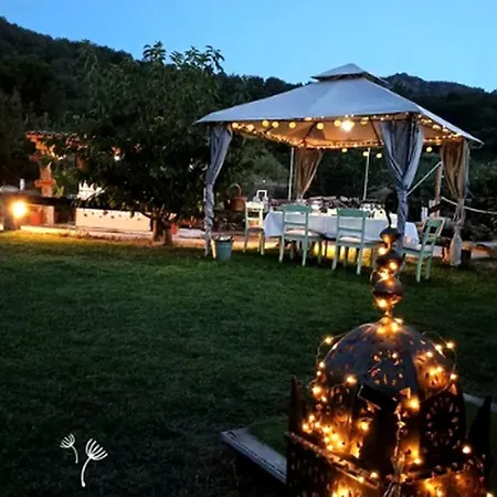 Casa vacanze Authentic Mongolian Yurt For Spiritual Getaways In Spain El Torno (Extremadura)